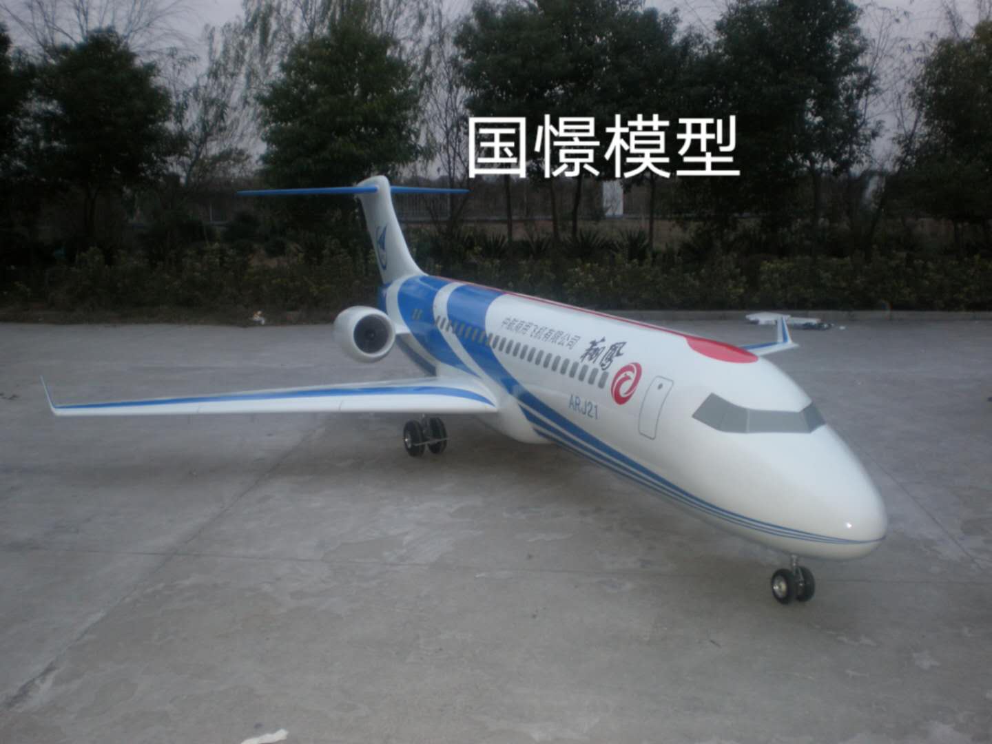 师宗县飞机模型