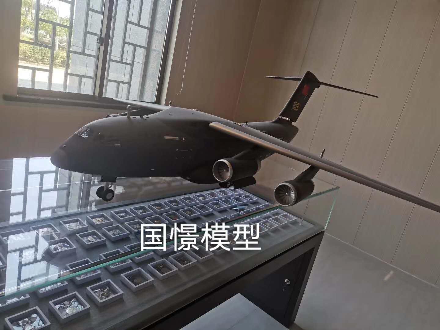 师宗县飞机模型